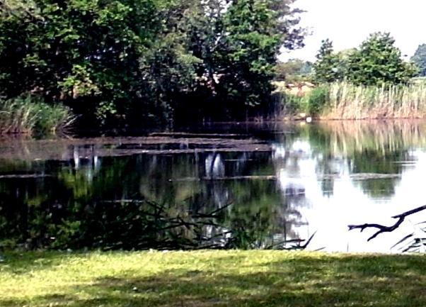 Ferienwohnungen Im Kunst.Haus Am See 도벌러그컬켄 외부 사진
